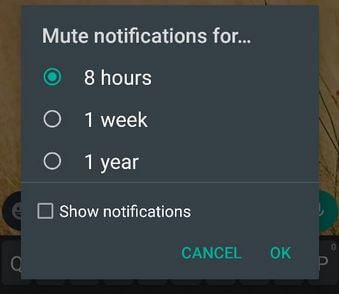 How to Mute WhatsApp Group Notifications