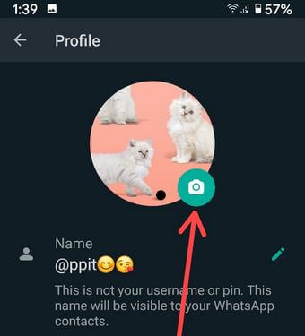 How to Set WhatsApp Profile Picture on Android