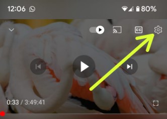 Tap Settings gear icon on YouTube Video