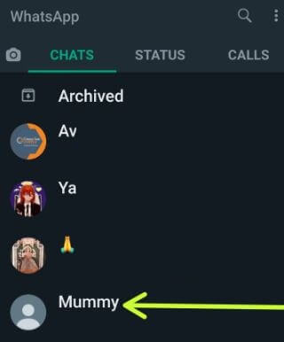 Tap on any contact you want to change WhatsApp chat background on Android