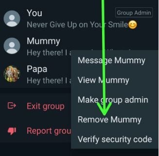 Remove People From WhatsApp Group Android devices