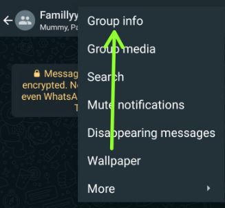 WhatsApp Group info Android
