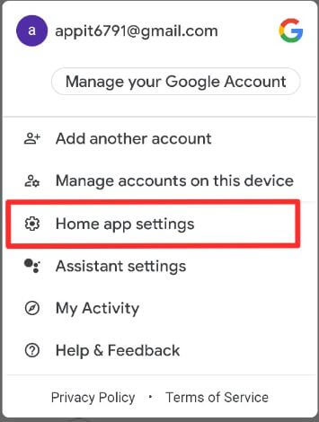 Google Home app settings