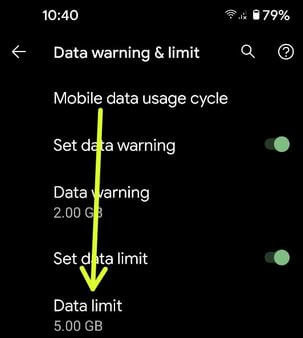 Set App Data Limit on Pixel 4a