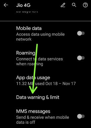 Set data warning and limit in Pixel 4a