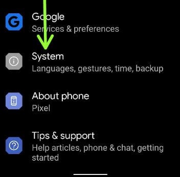 Reset Pixel 5 to Factory Settings Using Phone Settings