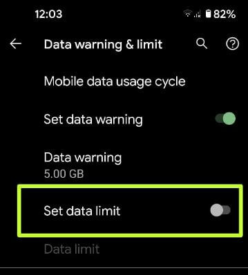 Set data limit on Pixel 5 to restrict apps background data