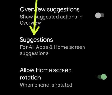 Google Pixel 5 app suggestion settings
