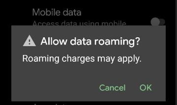 How to Enable Data Roaming on Google Pixel 5