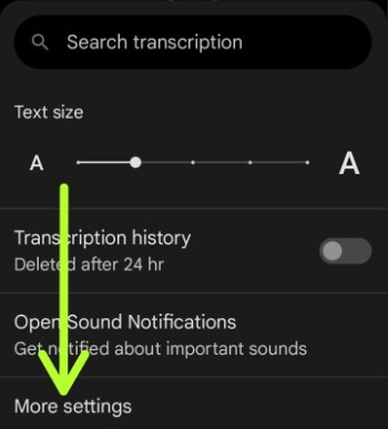 Live Transcribe Settings on Pixel 6
