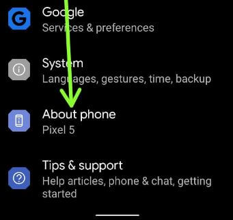 Find hidden developer mode using about phone settings in your Pixels