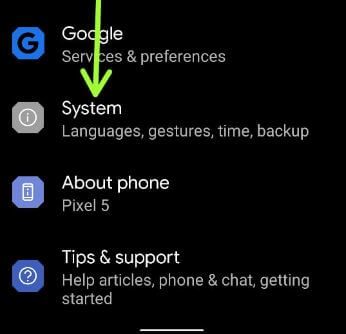 Go to system settings to activate developer mode Pixels
