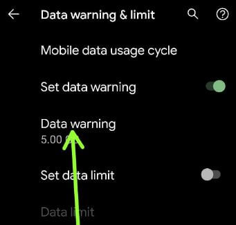 Set data warning to limit data usage in Pixel 5