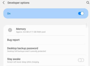 How to Enable Developer Options on Samsung Galaxy Z Fold2