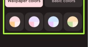 How-to-Change-the-Accent-Color-in-Google-Pixel-6-Pro