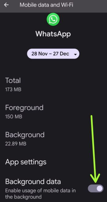 Disable App Using Mobile Data in the Background on Pixel 6 Pro