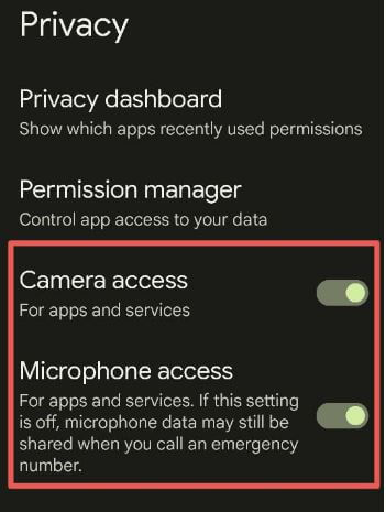 How to Enable or Disable Camera and Mic Access on Google Pixels