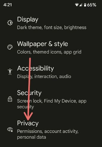 Privacy Settings in Pixels to allow Camera and Mic access