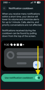 How to Turn On or Off Pixel Notification Dots: Pixel 9, 9 Pro XL