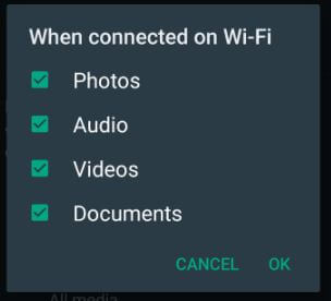 How Can I Save WhatsApp Videos in My Gallery