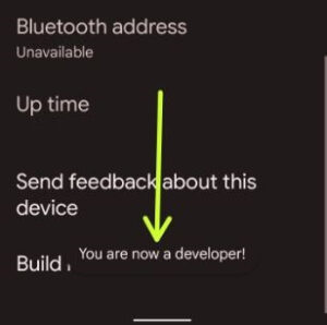 How to Enable Developer Mode on Pixel 6 Pro/Pixel 6/Pixel 6a
