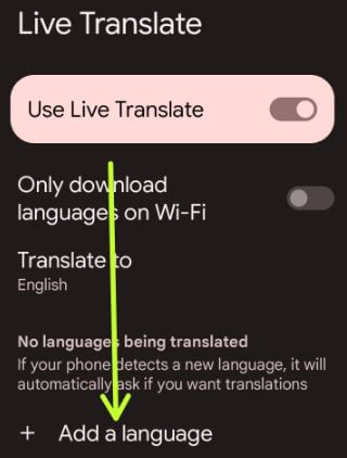How to Download Language to Use Live Translation in Pixel 6 Pro