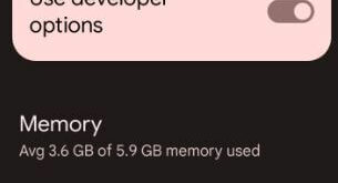 How to Enable Developer Mode on Pixel 6 Pro