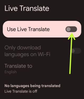 How to Turn On Live Translate on Google Pixel 6 Pro