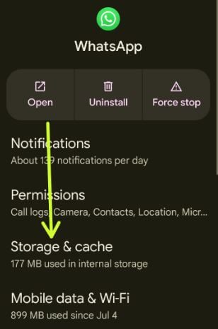 Storage and cache settings for App to Clear App Cache Google Pixel 6 Pro
