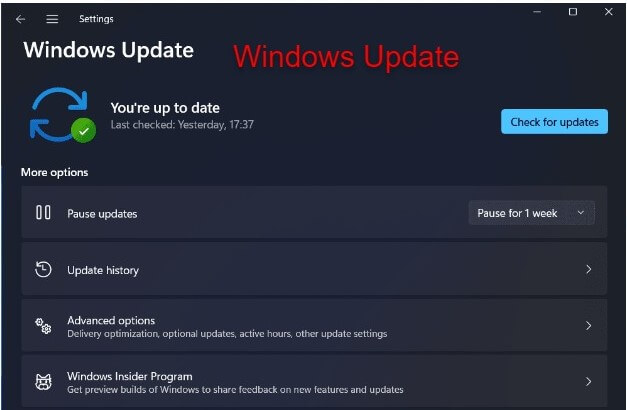 Check Windows Update to Fix memory issues Windows 11