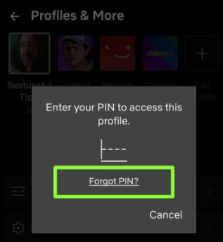 How to Reset Lost Profile PIN Netflix