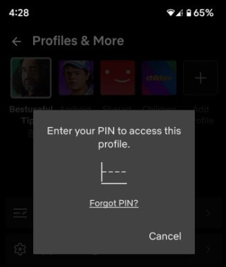 Set Netflix Profile Password