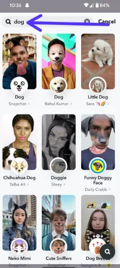 How Do You Get a Snapchat Dog Filter