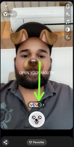 Snapchat dog Filters or Dog Lenses