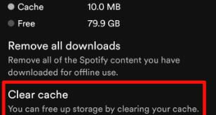 How to Clear Spotify Cache on Android