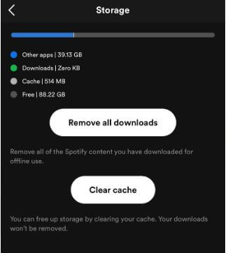 How to Clear Spotify Cache on iPhone