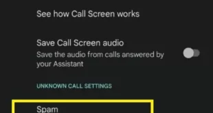 How to Set Up Call Screening in Pixel 8, Pixel 8 Pro, Pixel 7 Pro