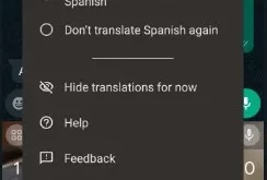 How to Use Live Translate in Google Pixel 8 and Pixel 8 Pro