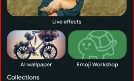 How to Change Wallpaper on Google Pixel 10, 10 Pro, 10 Pro XL